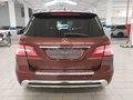 Rear view
