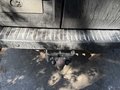 View of trailer tow-bar hitch