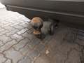 View of trailer tow-bar hitch