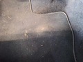 Photo de détail