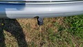 View of trailer tow-bar hitch