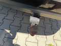 View of trailer tow-bar hitch