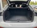 View of boot / luggage space