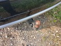 View of trailer tow-bar hitch