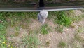 View of trailer tow-bar hitch