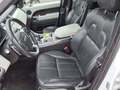View of front seats