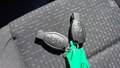 Šifra