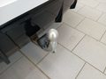 Foto de detalle