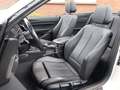 View of front seats