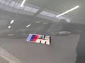 Photo de détail