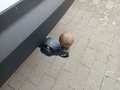 View of trailer tow-bar hitch