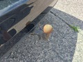 View of trailer tow-bar hitch