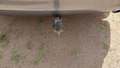 View of trailer tow-bar hitch