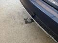 View of trailer tow-bar hitch