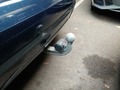 View of trailer tow-bar hitch