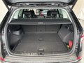 View of boot / luggage space