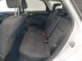 View of rear seat