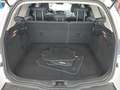 View of boot / luggage space