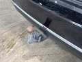 View of trailer tow-bar hitch