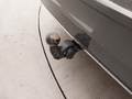 View of trailer tow-bar hitch