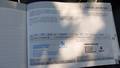 Attestation d'entretien