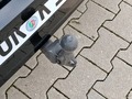 Photo de détail