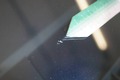 Detailní foto