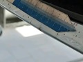 Photo de détail