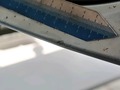 Photo de détail