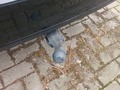 Detailní foto
