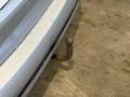 View of trailer tow-bar hitch