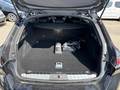 View of boot / luggage space