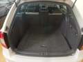View of boot / luggage space