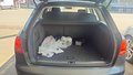 View of boot / luggage space