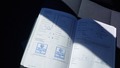 Документ о выполнении сервиса