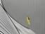 Parempoolne tagauks