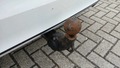 View of trailer tow-bar hitch