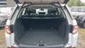 View of boot / luggage space