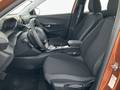 View of front seats