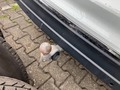 Podrobna fotografija