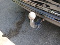 View of trailer tow-bar hitch