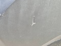 Photo de détail