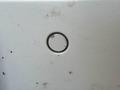 Photo de détail