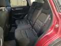 View of rear seat