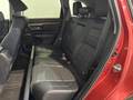 View of rear seat