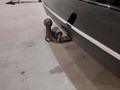 View of trailer tow-bar hitch