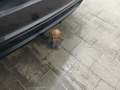 View of trailer tow-bar hitch