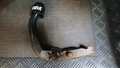 View of trailer tow-bar hitch