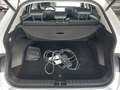 View of boot / luggage space