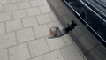 View of trailer tow-bar hitch